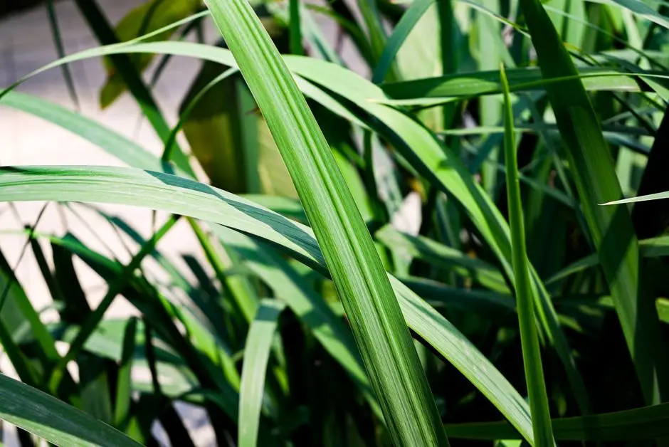 Greens & Outdoors at ATS HOMEKRAFT STUDIO YAMUNA EXPRESSWAY, Sector 22D, Greater Noida