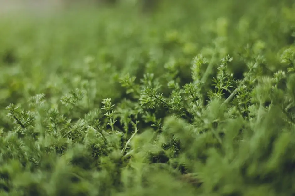 Greens & Outdoors at ATS HOMEKRAFT POWAI, Mumbai