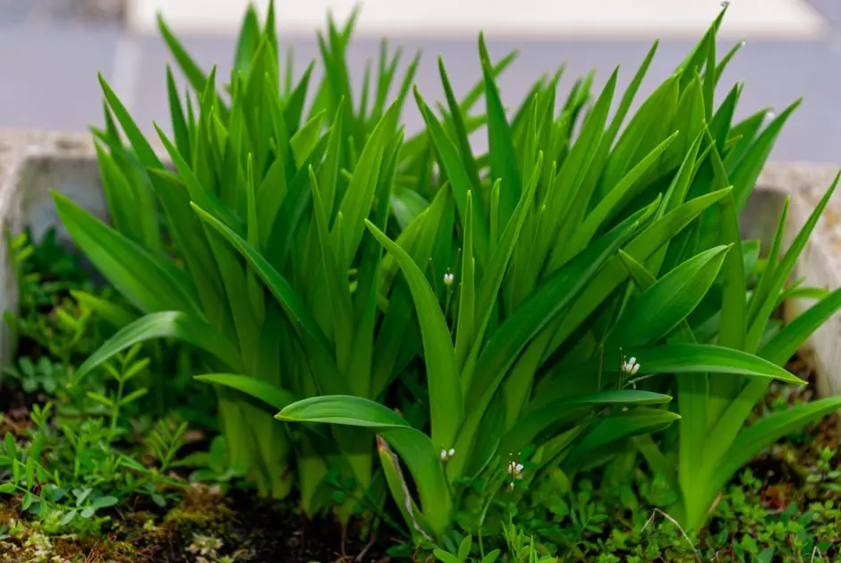 Greens & Outdoors at ATS HOMEKRAFT NH-24, Pandav Nagar, Ghaziabad