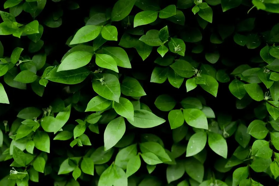 Greens & Outdoors at ATS HOMEKRAFT FARIDABAD, Greater Faridabad, Faridabad