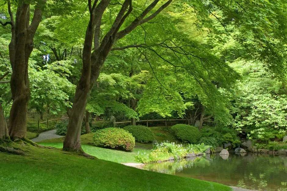 Greens & Outdoors at ATS PICTURESQUE REPRIEVES PHASE 1, Sector 152, Noida
