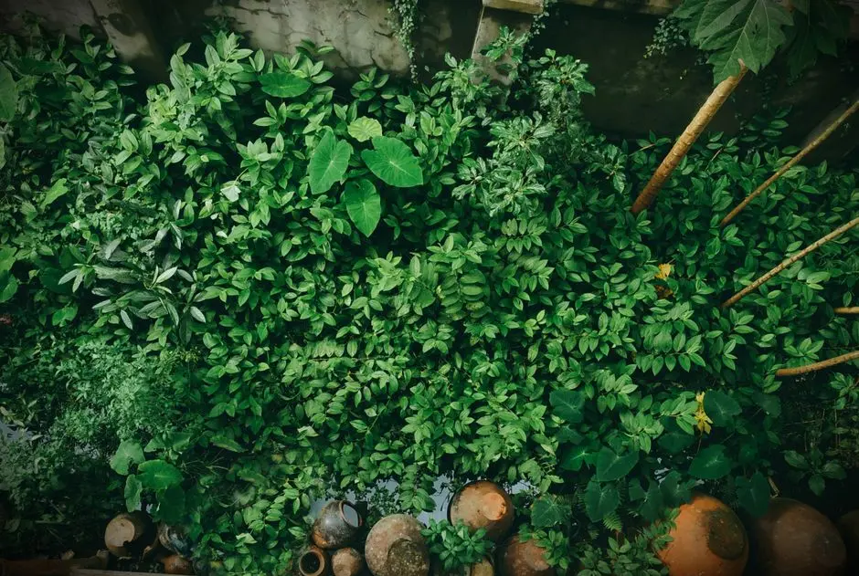 Greens & Outdoors at ATS GRANDSTAND, Sector 99A, Gurgaon