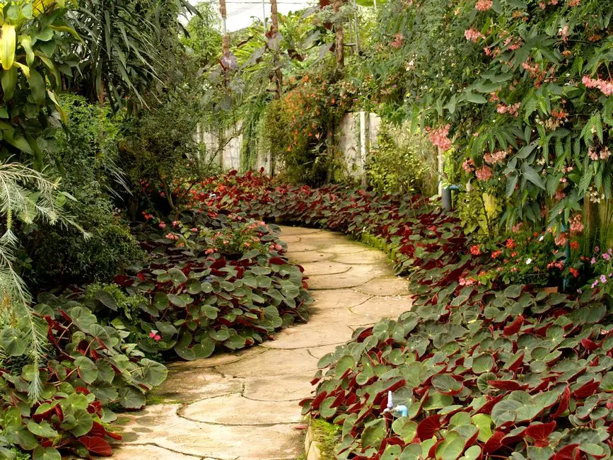 Greens & Outdoors at ATS MARIGOLD, Sector 89A, Gurgaon