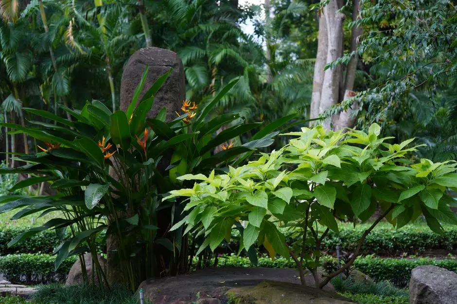 Greens & Outdoors at ATS LOW RISE FLOORS, Sohna, Gurgaon