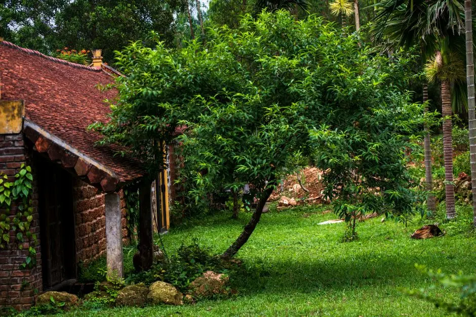 Greens & Outdoors at ATS HEAVENLY FOOTHILLS COMMERCIAL 1, Doon IT Park, Dehradun