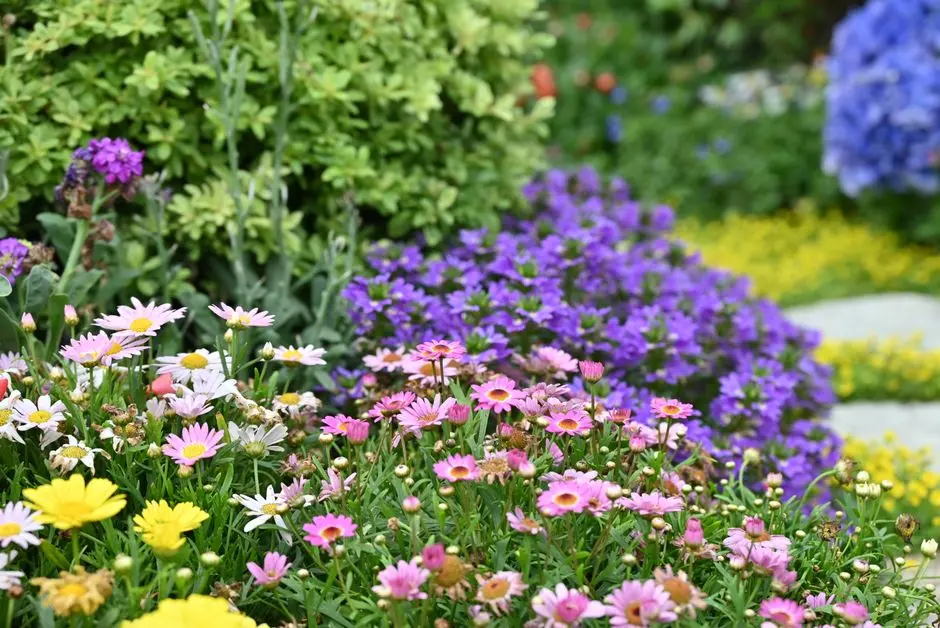 Greens & Outdoors at ATS HOMEKRAFT SECTOR 6 ROHINI, Sector 6, Rohini, Delhi