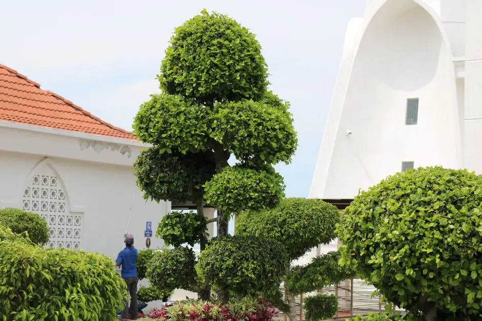 Greens & Outdoors at ATS HACIENDAS, Indirapuram, Ghaziabad