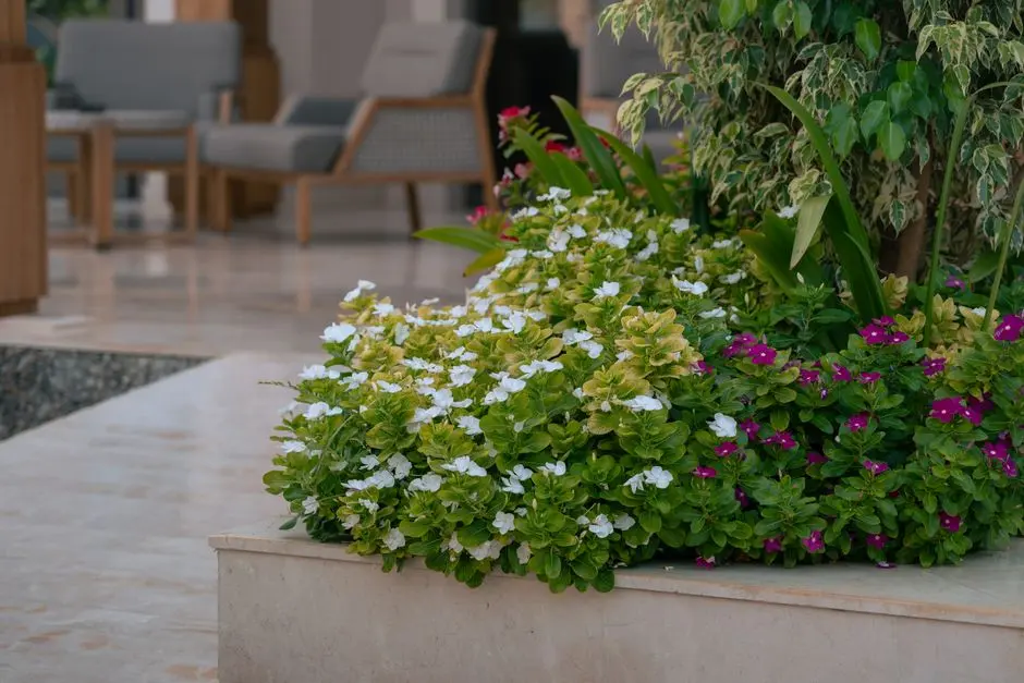 Greens & Outdoors at ATS GREENS PARADISO, Sector Chi-4, Greater Noida